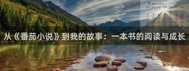 精品小說網站同人小說網：從《番茄小說》到我的故事：一本書的閱讀與成長